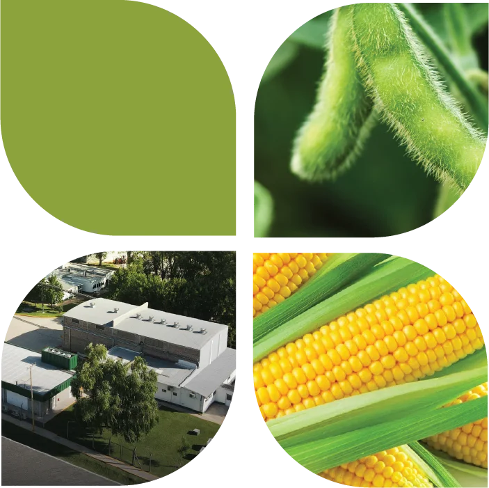 Biagro | Ecossistema Cogny