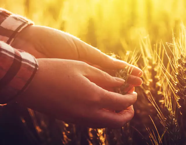 Simbiose| Ecossistema Cogny